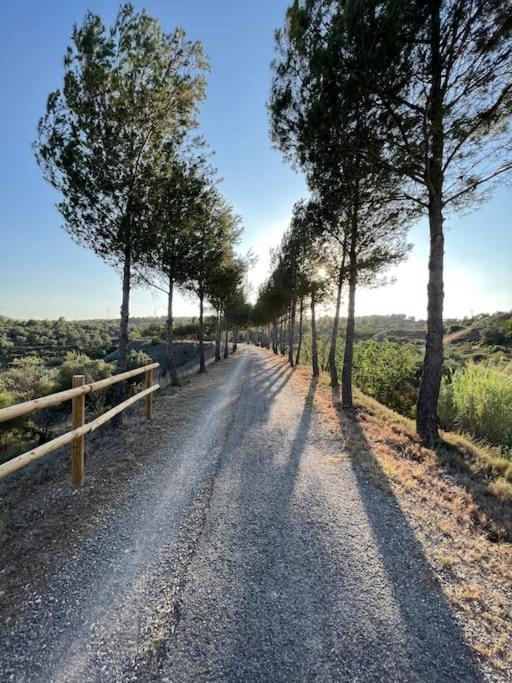 Apto. Rural Cielo. Al Lado Torre Jérica Exterior photo